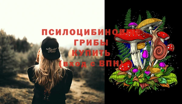 ECSTASY Верхний Тагил