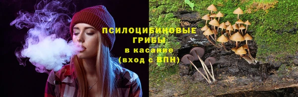 крисы Верея
