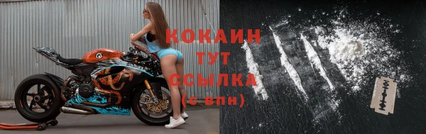 крисы Верея