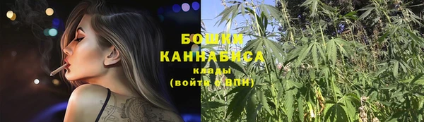 крисы Верея